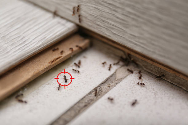 Best Wildlife Control Services  in Darby, PA