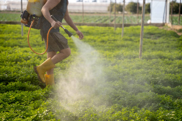 Best Commercial Pest Control Services  in Darby, PA