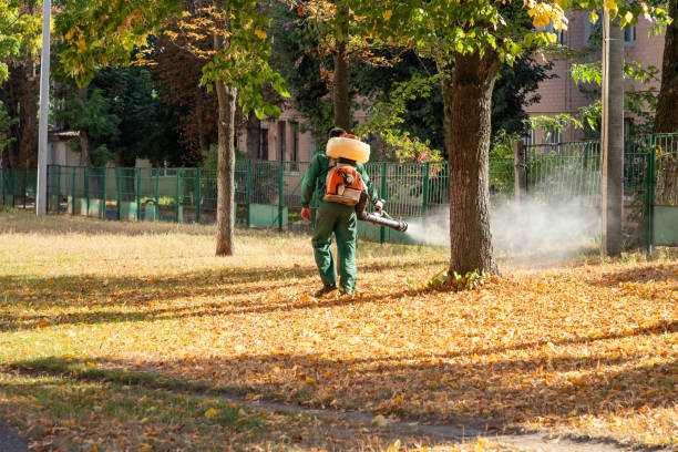 Best Affordable Pest Control Services  in Darby, PA
