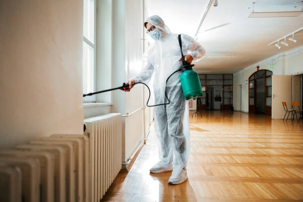 Best Flea Control Services  in Darby, PA