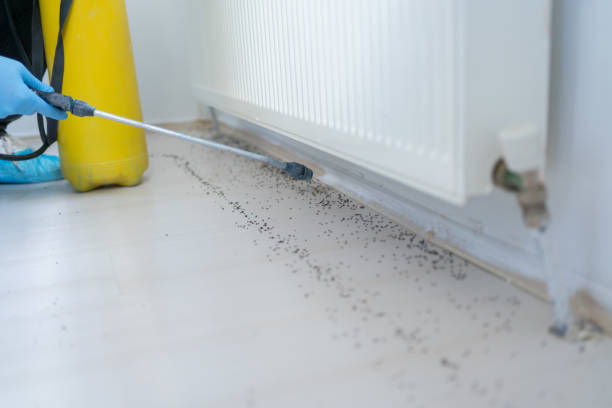 Best Insect Control  in Darby, PA