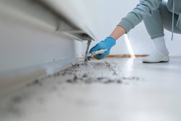 Best Local Pest Control Services  in Darby, PA